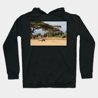 Wildebeest. White Race, Kenya. Hoodie